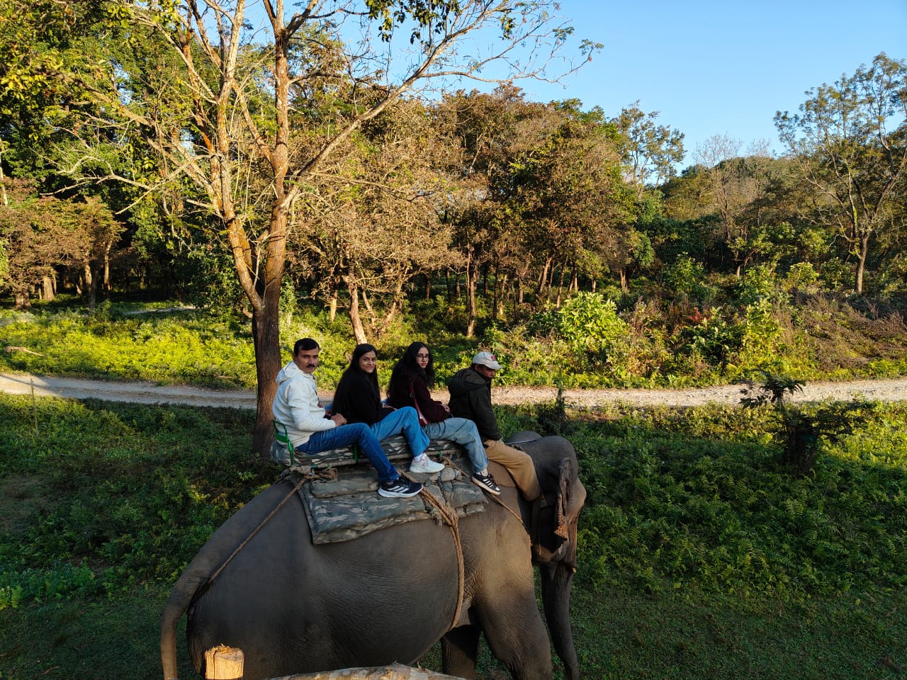 Elephant Safari
